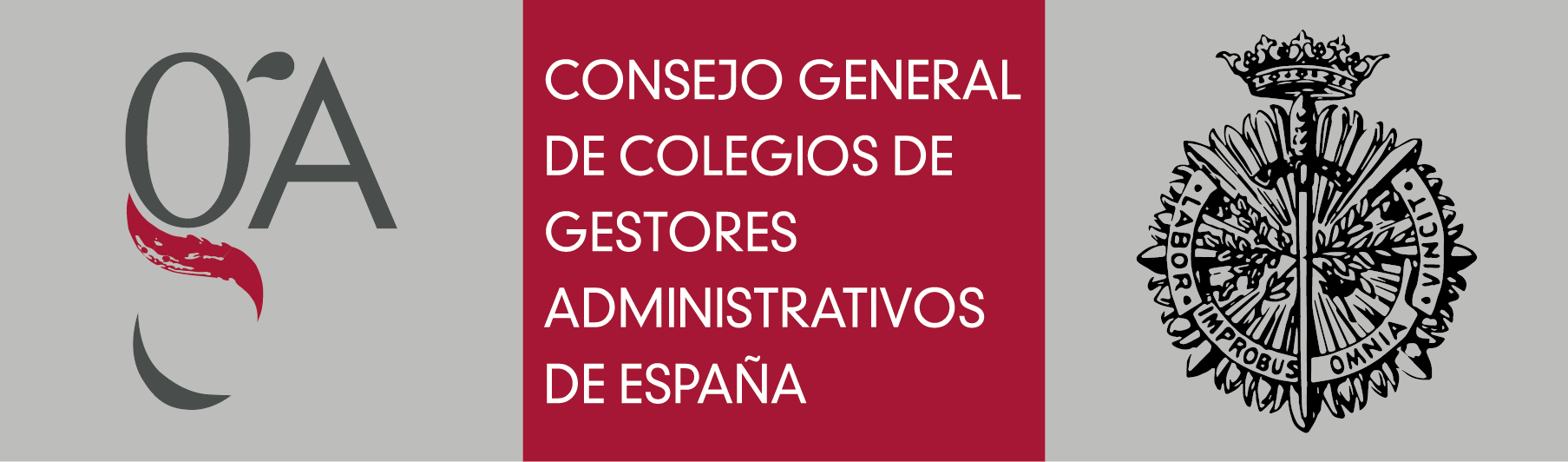 consejo general de colegios de gestores administrativos da españa